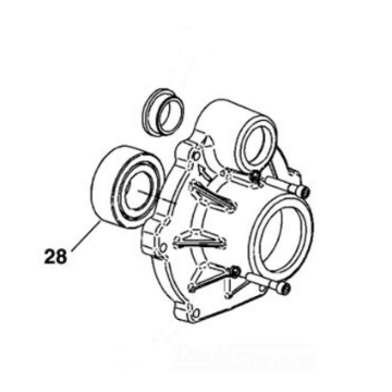 图片 Ridgid Bearing for 975