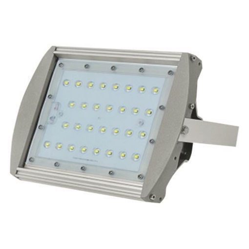 图片 FIREFLY Led Floodlight EFL2030CW