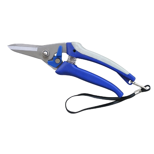 图片 Pruning Shears Plastic Handle (A0054)