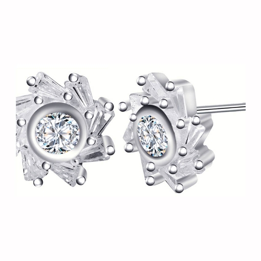 图片 925 Silver Jewelry,Stud Earrings- ER-104