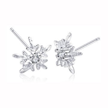 图片 925 Silver Jewelry,Stud Earrings- ER-123