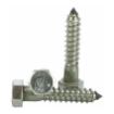 图片 304 Stainless Steel Hex. Lag Screw, STLS