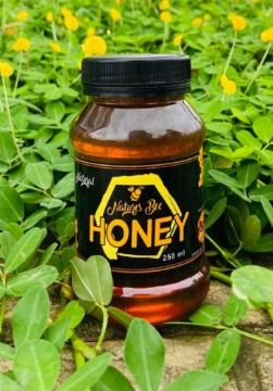 图片 Natures Bee Honey Honey Bee (250 ml, 350 ml, 700 ml, 750 ml), NBEEHONEY