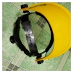 图片 Heavy Duty Face Shield Minion type