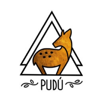 制造商图片 Pudu