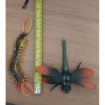 图片 Kid's Realistic Mystical Insect Figure Toys Set, KDRMIT