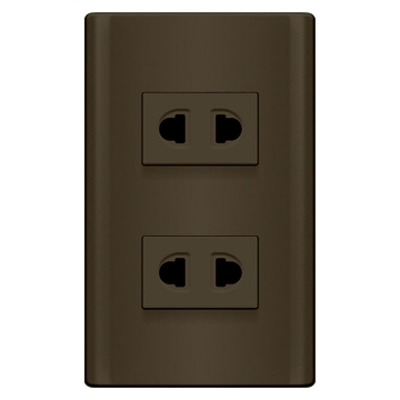 2 Gang Outlet