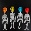 Glow-in-the-dark Skull Lollipop Noctilucine Candy Human Skeleton Candy Toy