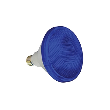 Omni LED Par Weatherproof Par Lamp 