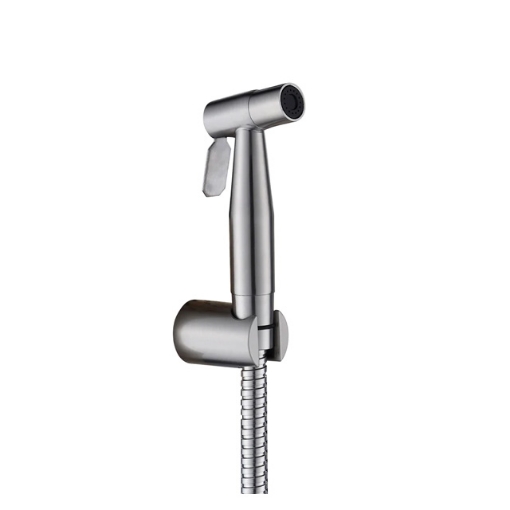 图片 AXIS BIDET SET STAINLESS STEEL, BRUSH AXS82A8001S 