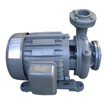 图片 EVERGUSH CLOSE-COUPLED VORTEX CENTRIFUGAL PUMP CP-21.5