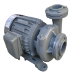 图片 EVERGUSH CLOSE-COUPLED VORTEX CENTRIFUGAL PUMP CP-21.5