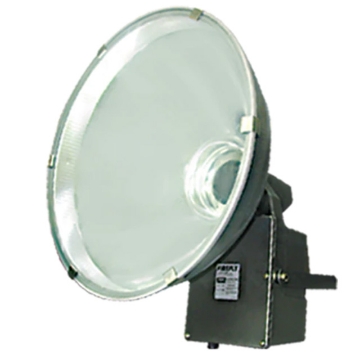 图片 FIREFLY Lighting Jupiter Series Metal Halide Floodlight Tubular Type - FLHI194/C/1000