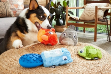 分类图片 Pet Toys & Accessories